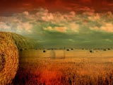 Fall / Autumn Premium PowerPoint Templates