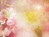 Spring Premium PowerPoint Templates