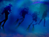Oceanography Premium PowerPoint Templates