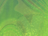 Green Abstract PowerPoint Templates