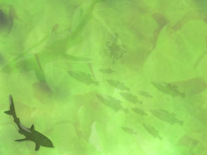 Aquatic Animals Title Content PowerPoint Template