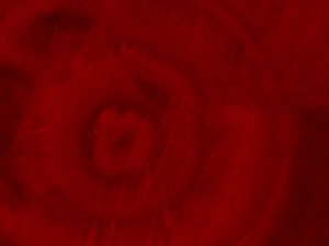 Abstract Title Content PowerPoint Template