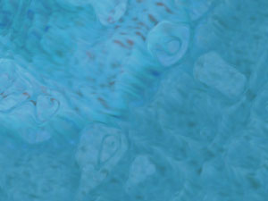 Abstract Title Content PowerPoint Template