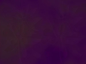 Oppulence Title Content PowerPoint Template