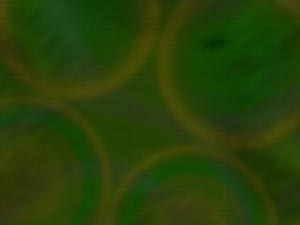 Crop Circles Title Content PowerPoint Template