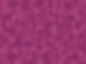 Lost in Pink Title Content PowerPoint Template