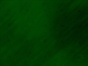 Graphite Flowers Title Content PowerPoint Template