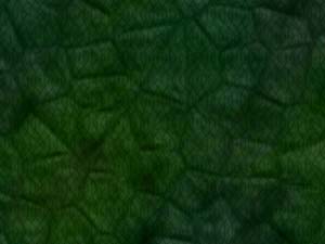 Pattern Overlaid Title Content PowerPoint Template