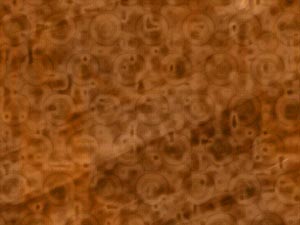 Rusted Impressions Title Content PowerPoint Template