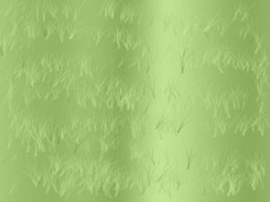 Etched Grass Title Content PowerPoint Template