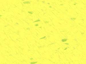 Yellow Pool Title Content PowerPoint Template Yellow Pool Title Content PowerPoint Template