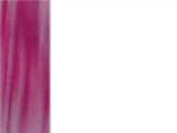 Print Layout PowerPoint Templates Print Layout PowerPoint Templates