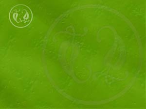 Pattern Title Content PowerPoint Template