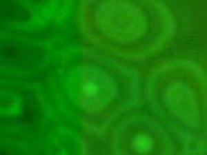 Sliding Bubbles Title Content PowerPoint Template