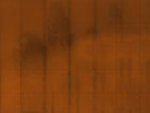 Wood Plank Title Content PowerPoint Template