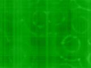 Fountain Green Title Content PowerPoint Template
