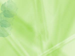 Cabbage Title Content PowerPoint Template Cabbage Title Content PowerPoint Template