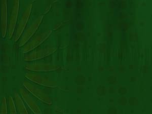 Petal Green Title Content PowerPoint Template Petal Green Title Content PowerPoint Template