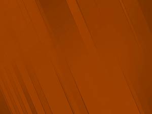 Brown Blinds Title Content PowerPoint Template Brown Blinds Title Content PowerPoint Template