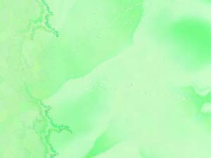 Fractal Grass Title Content PowerPoint Template Fractal Grass Title Content PowerPoint Template