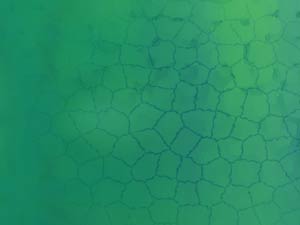 Honeycombs Title Content PowerPoint Template Honeycombs Title Content PowerPoint Template