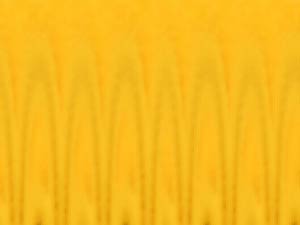 Oval Pattern Title Content PowerPoint Template