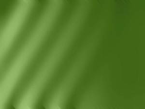 Nature Folds Title Content PowerPoint Template