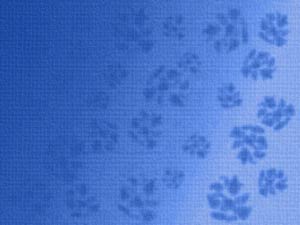 Fading Pattern Title Content PowerPoint Template Fading Pattern Title Content PowerPoint Template